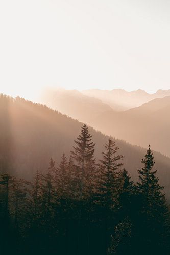 Warm Sunset in the Mountains