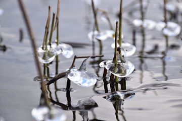 Première gelé sur le lac à l'automne sur Claude Laprise