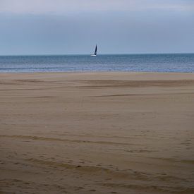 Sailing by Rudi Everaert