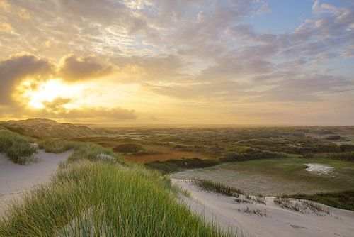 Terschelling en de prachtige natuur van De Boschplaat
