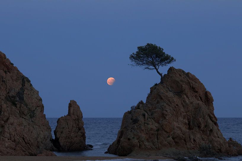 Mond über Tossa von Yvonne van Leeuwen