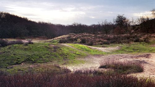 Wasserversorgungsdünen von Amstrdam - 1