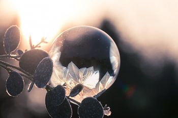 Kunst aus Eis und Seife