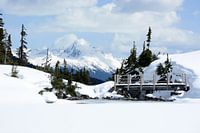 Love from Rainbow Lake