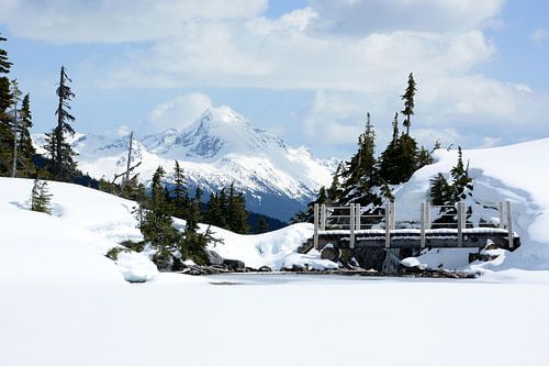 L'amour de Rainbow Lake