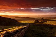 Sonnenaufgang Hadrianische Mauer England von Frank Peters Miniaturansicht