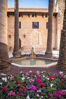 Fontein omringd door palmbomen en bloemen in het Paleis van Mallorca | Reisfotografie