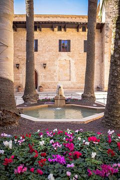 Springbrunnen umgeben von Palmen und Blumen im Palast von Mallorca | Reisefotografie von Kelsey van den Bosch