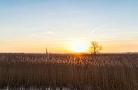 Zuidlaardermeer - Noordlaren (Netherlands) by Marcel Kerdijk thumbnail