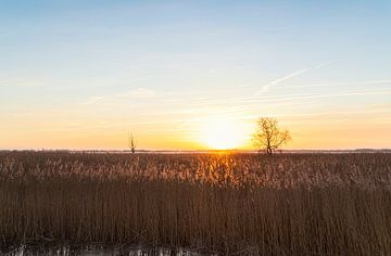Zuidlaardermeer - Noordlaren (Netherlands) by Marcel Kerdijk