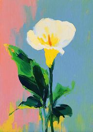 Calla lily in spring by Niklas Maximilian