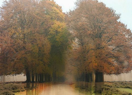 Planken Wambuis part 160