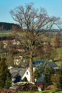 Natur und Landschaft im Erzgebirge