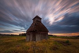 Behringer heath by Jiri Viehmann