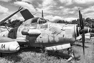 De Breguet Br.1050 Alizé. van Jaap van den Berg