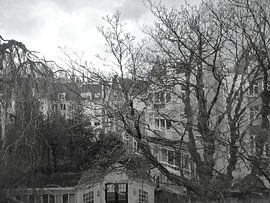 Amsterdamer Hofgarten von Marianna Pobedimova