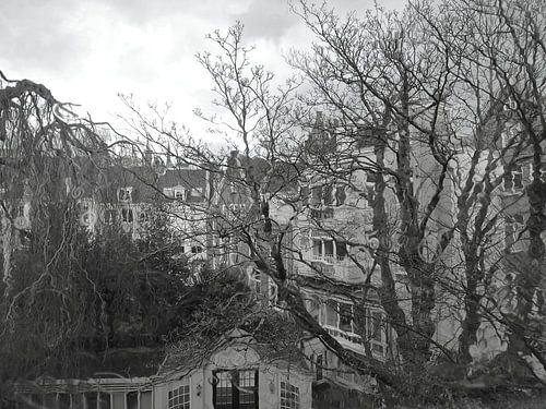 Amsterdam binnentuin