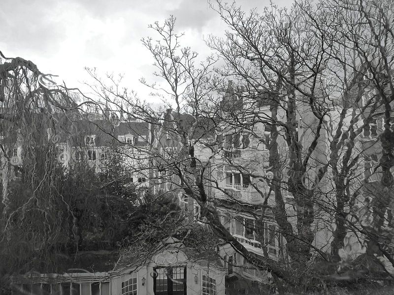 Amsterdam courtyard garden by Marianna Pobedimova