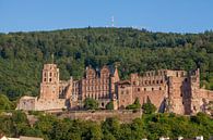 kasteel, oude stad, Heidelberg van Torsten Krüger thumbnail