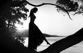 Tiniko by Boris Belokonov