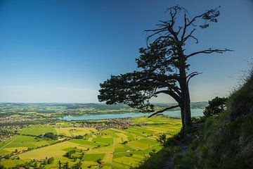 Panorama vanaf het Tegelbergmassief van Walter G. Allgöwer