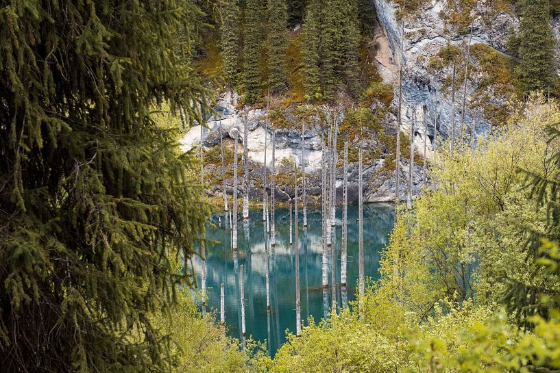 Trees in Lake Kaindy, Kazakhstan by Sidney van den Boogaard