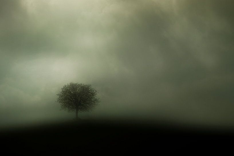 Dusty,mistig. van annemiek art