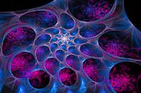 Blue and pink abstract fractal art