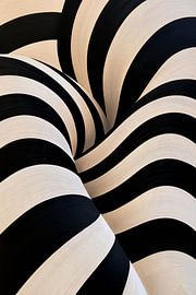 Hypnotische Strömung — Optisches Linienspiel in Schwarz und Champagner von Color Square