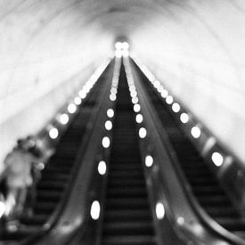 Escalier roulant du métro de D.C. sur Charlotte Meindersma