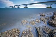 Pont de Zélande par Ardi Mulder Aperçu