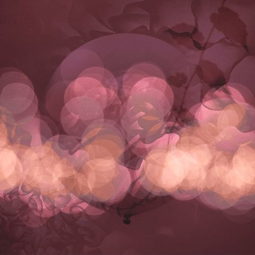 De Ballon in de tuin. 1