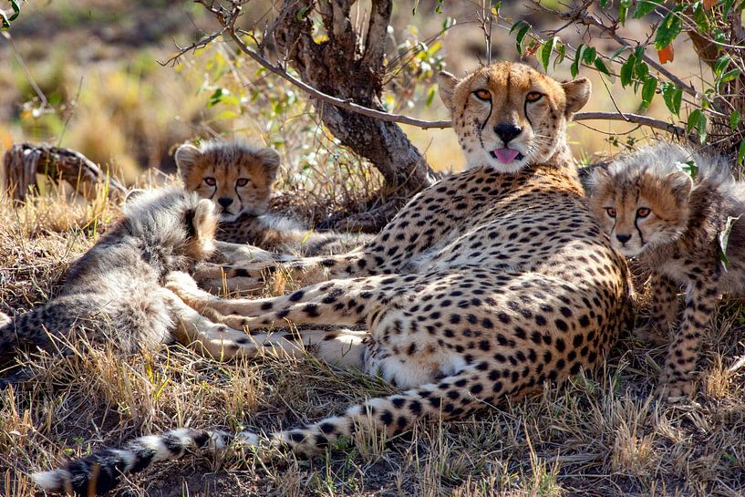 Is iedereen er? van Peter Michel