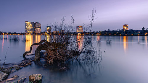 Bonn