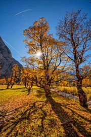 Großer Ahornboden von Einhorn Fotografie