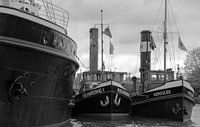 Sleepboten Hudson, Volharding en Hercules in haven Maassluis