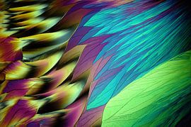 Benzotriazole by André Wieringa