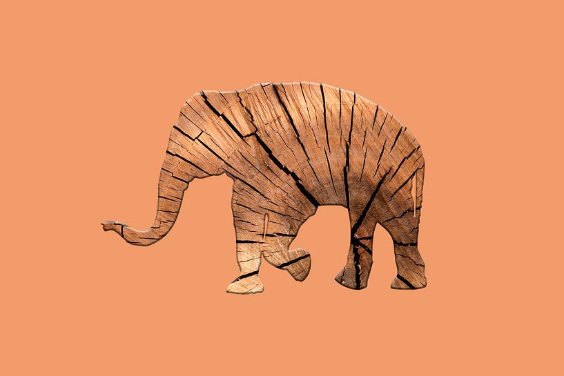 Elephant bois par Catherine Fortin