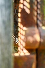 schaduw & roest