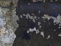 Épave de voiture avec rouille 11