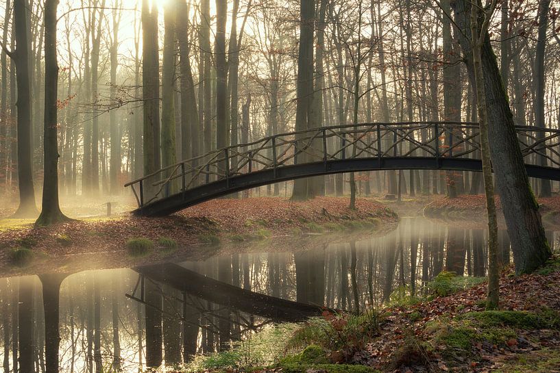 Un pont sur des eaux troubles par Martin Podt