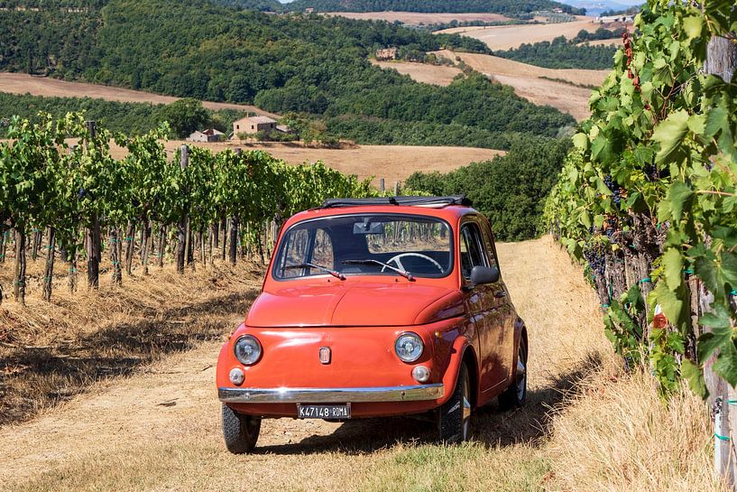 Fiat 500 dans un vignoble (6) par Jolanda van Eek en Ron de Jong