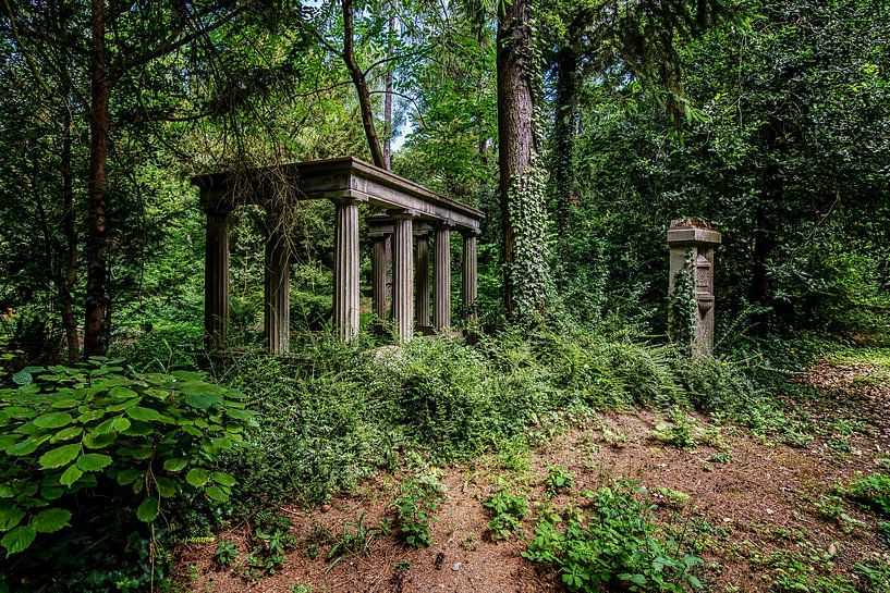 Grafveld in het bos van Thomas Riess