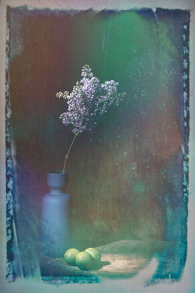 Stilleben mit Flieder, Flieder und Limonen. von Saskia Dingemans Awarded Photographer