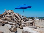 Naturstrand mit Sonnenschirm an der Adria in Italien von Animaflora PicsStock Miniaturansicht