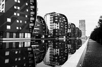 Spiegeling  Zwart - Wit