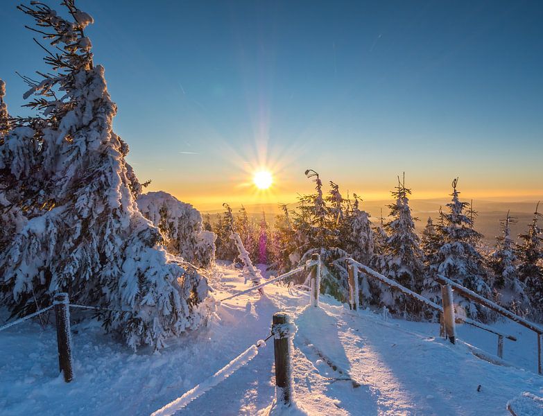 Winterlandschap in het Ertsgebergte van Animaflora PicsStock