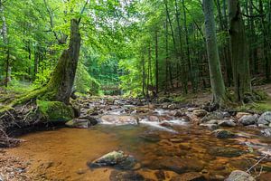 Ilse waterval van Lisa Antoinette Photography