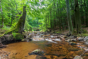 Wasserfall Ilse