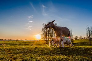 Lente von Michel de Koning